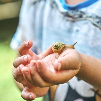Getting Your Kids Interested in Garden Wildlife: - Patio Pro